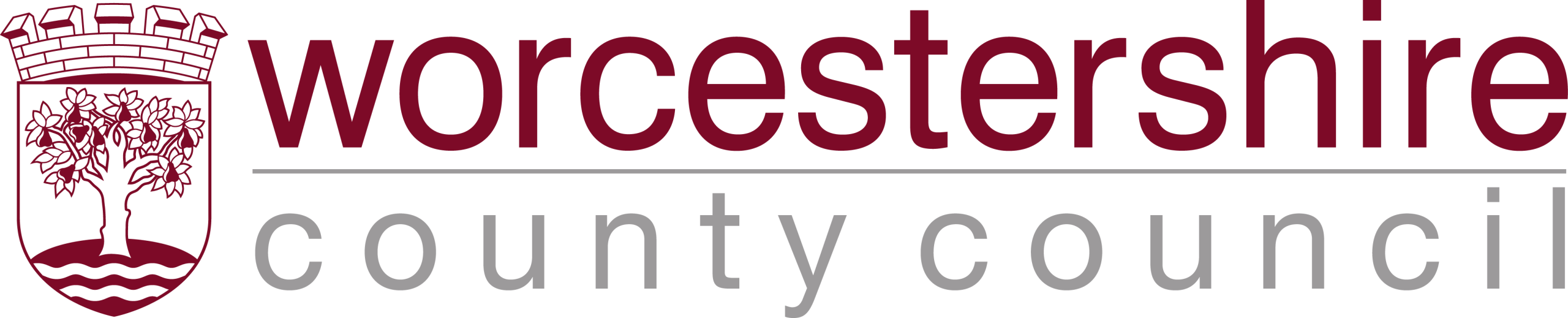 Worcestershire County Council
